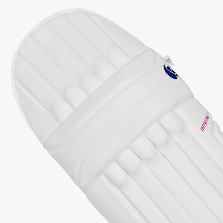 DSC Intense 2000 Cricket Pads (2024)