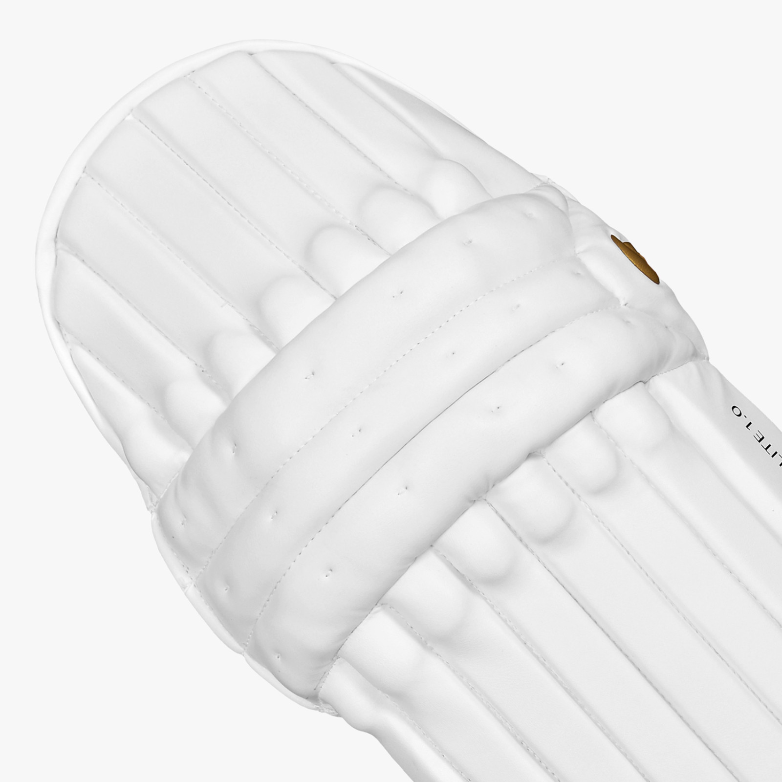 DSC Xlite 1.0 Cricket Pads (2025) - DSC Xlite 1.0 Cricket Pads (2024) - DSC Xlite 1.0 Cricket Pads (2024) - DSC Xlite 1.0 Cricket Pads (2024) - DSC Xlite 1.0 Cricke