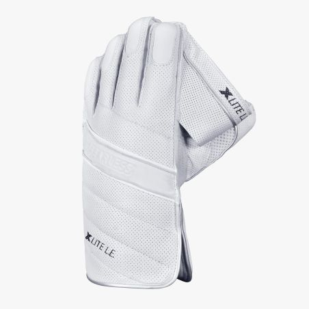 DSC Xlite Limited Edition Wicket Keeping Gloves (2024)