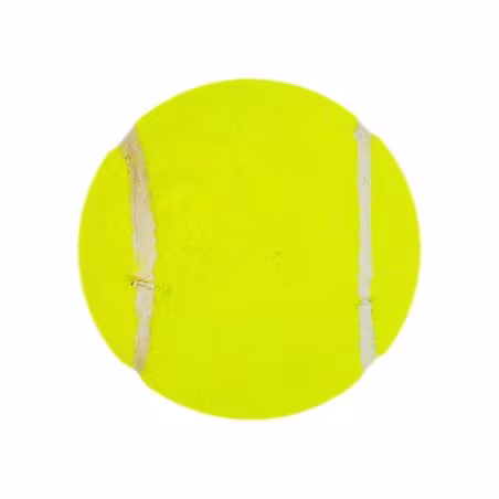 DSC Nitro Heavy Tennis Ball - Pack of 12 - Yellow (2024)