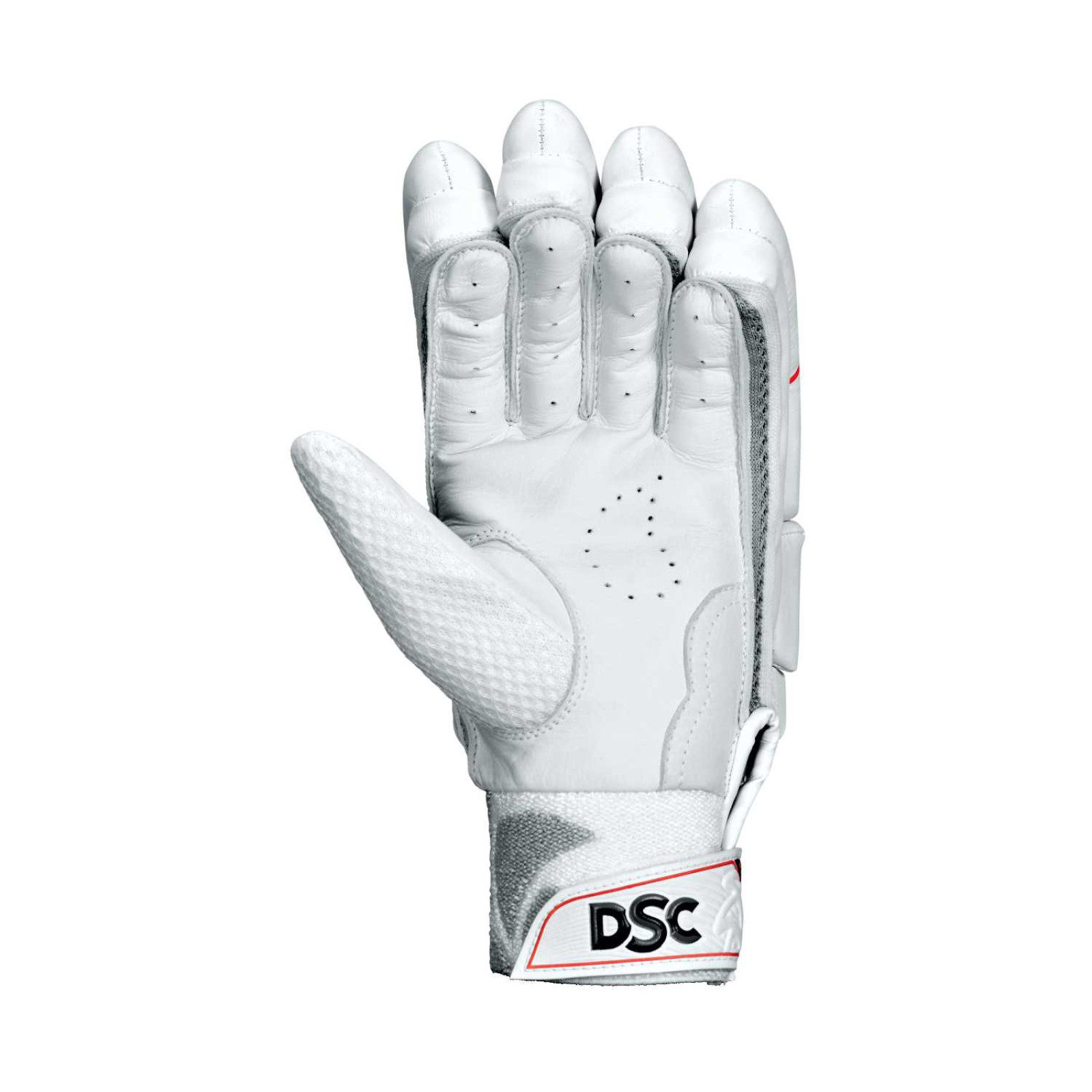 DSC Xlite 5.0 Cricket Gloves (2023) - DSC Xlite 5.0 Cricket Gloves (2023) - DSC Xlite 5.0 Cricket Gloves (2023) - DSC Xlite 5.0 