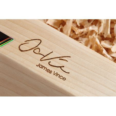 GM James Vince Players Edition Cricket Bat (2024)