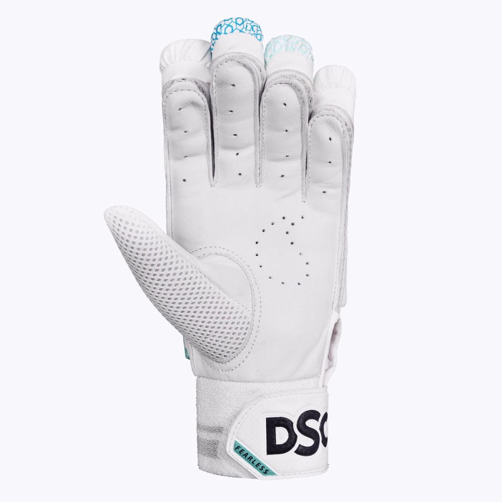 DSC Cynos 11 Cricket Gloves (2024) - DSC Cynos 11 Cricket Gloves (2024) - DSC Cynos 11 Cricket Gloves (2024) - DSC Cynos 11 Cricket Gloves (2024) - DSC Cynos 11 Cric
