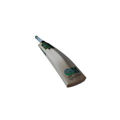GM Verva 404 Cricket Bat (2025) - GM Verva 404 Cricket Bat (2025) - GM Verva 404 Cricket Bat (2025) - GM Verva 404 Cricket Bat (