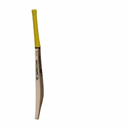 GM Psyche 606 Delta Cricket Bat (2025)