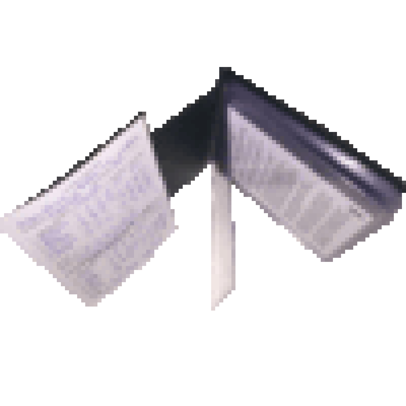 Cricket Umpires Deluxe Match Card Holder - Cricket Umpires Deluxe Match Card Holder - Cricket Umpires Deluxe Match Card Holder -