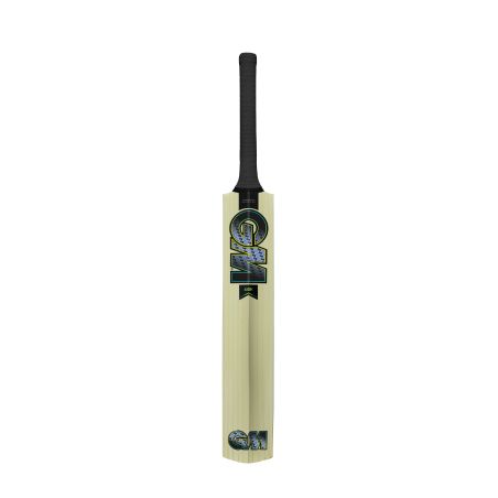 GM Aion Junior Cricket Bat (2025)