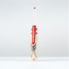 Gray-Nicolls Ventus Gen 1.1 Cameo Junior Cricket Bat (2025) - Gray-Nicolls Ventus Gen 1.1 Cameo Junior Cricket Bat (2025) - Gray