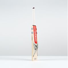 Gray-Nicolls Ventus Gen 1.1 Cameo Junior Cricket Bat (2025) - Gray-Nicolls Ventus Gen 1.1 Cameo Junior Cricket Bat (2025) - Gray