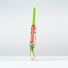 Gray-Nicolls Ventus 1.3 300 Junior Cricket Bat (2025) - Gray-Nicolls Ventus 1.3 300 Junior Cricket Bat (2025) - Gray-Nicolls Ven