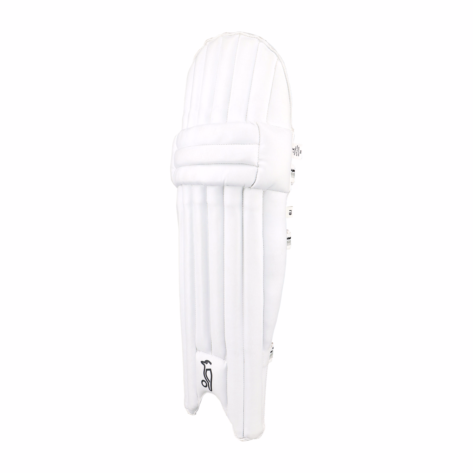 Kookaburra Ghost 6.1 Cricket Pads (2025) - Kookaburra Ghost 6.1 Cricket Pads (2025) - Kookaburra Ghost 6.1 Cricket Pads (2025) -