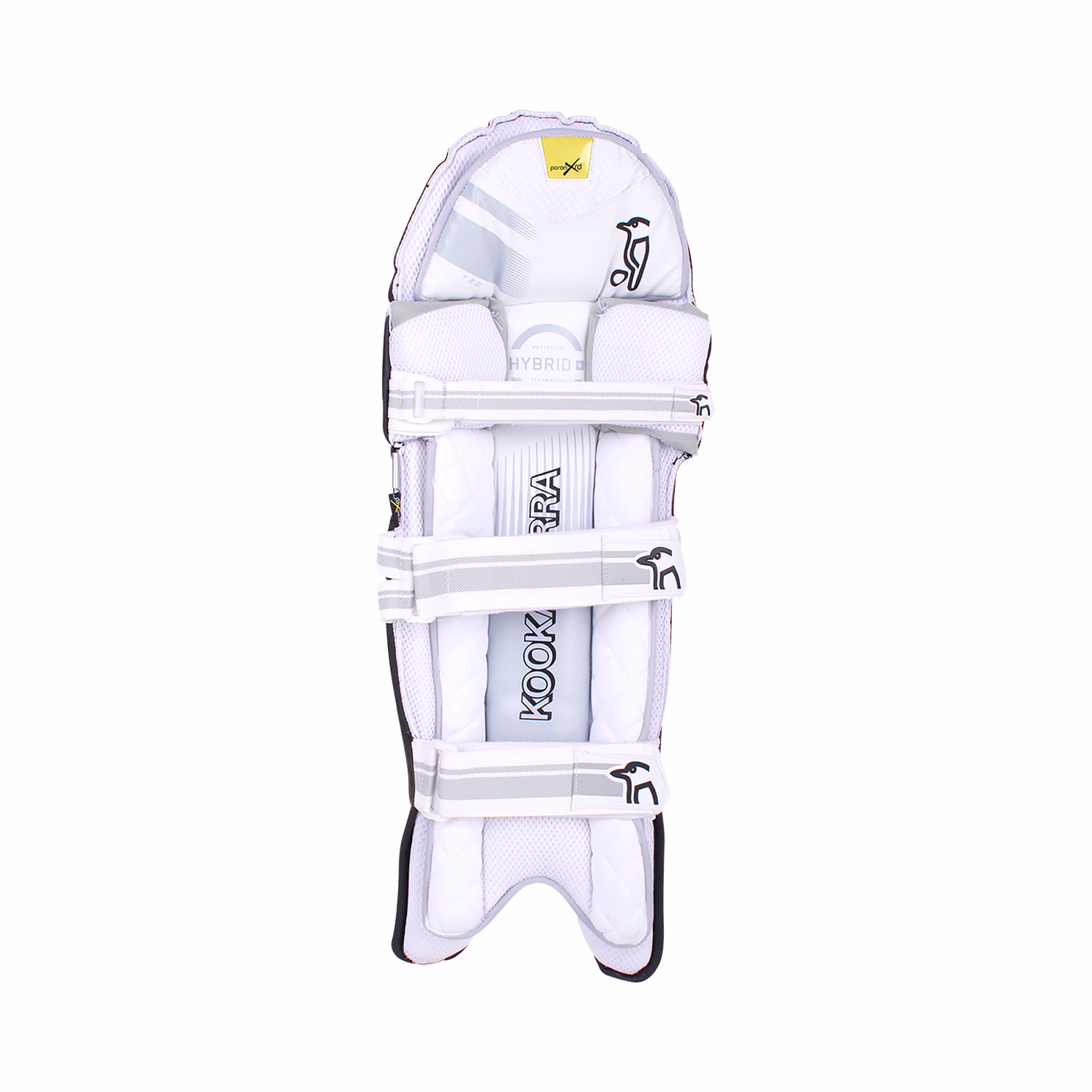 Kookaburra 2.1 T/20 Cricket Pads - Black (2025) - Kookaburra 2.1 T/20 Cricket Pads - Black (2025) - Kookaburra 2.1 T/20 Cricket Pads - Black (2025) - Kookaburra 2.1 T/20 Cricket 