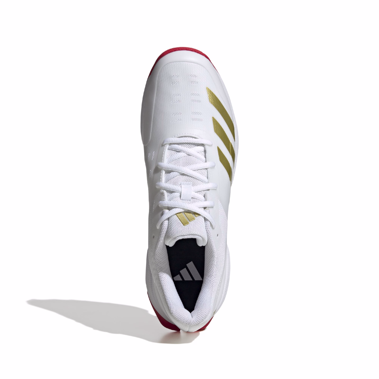 Adidas 22YDS Cricket Shoes - Gold (2025) - Adidas 22YDS Cricket Shoes - Gold (2025) - Adidas 22YDS Cricket Shoes - Gold (2025) - Adidas 22YDS Cricket Shoes - Gold (2025) -