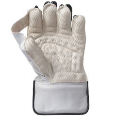 GM Aion 909 Wicket Keeping Gloves (2025) - GM Aion 909 Wicket Keeping Gloves (2025) - GM Aion 909 Wicket Keeping Gloves (2025) -