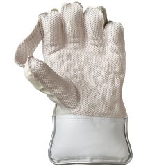 GM 606 Wicket Keeping Gloves (2025) - GM 606 Wicket Keeping Gloves (2025) - GM 606 Wicket Keeping Gloves (2025) - GM 606 Wicket 