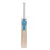 Newbery Kashmir Willow Cricket Bat (2025)