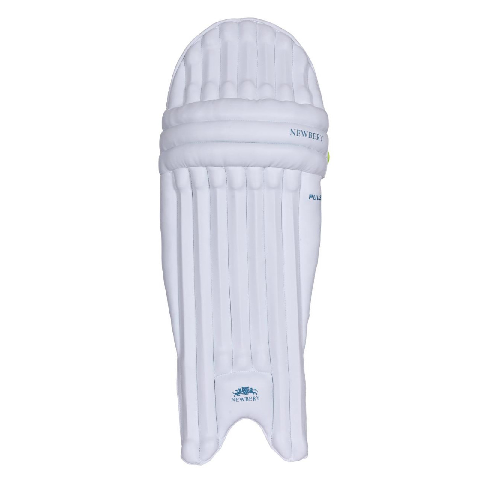 Newbery Pulse Junior Cricket Pads (2026) - Newbery Pulse Junior Cricket Pads (2026) - Newbery Pulse Junior Cricket Pads (2026) -