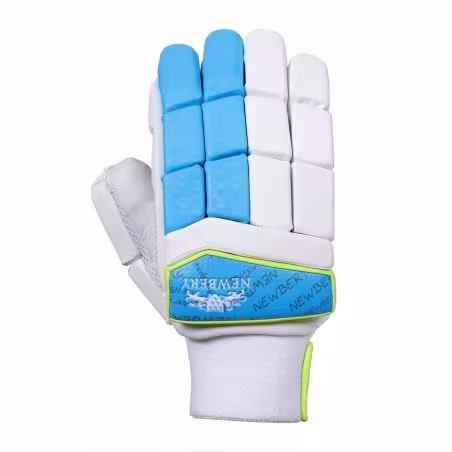 Newbery Pulse Junior Cricket Gloves (2025)