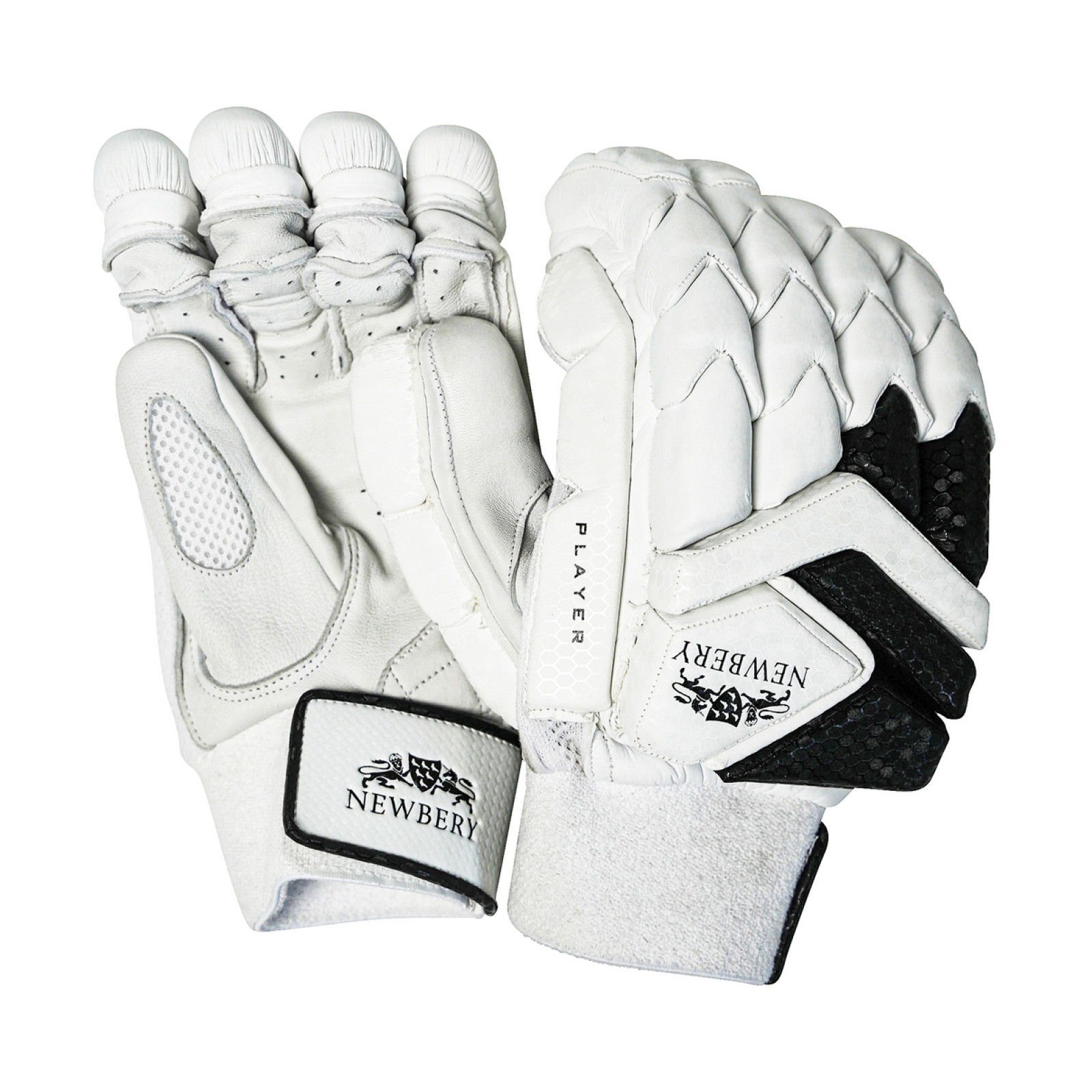 Newbery Player Cricket Gloves (2025) - Newbery Spieler Cricket-Handschuhe (2025)
