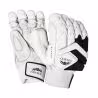 Newbery Player Cricket Gloves (2025)