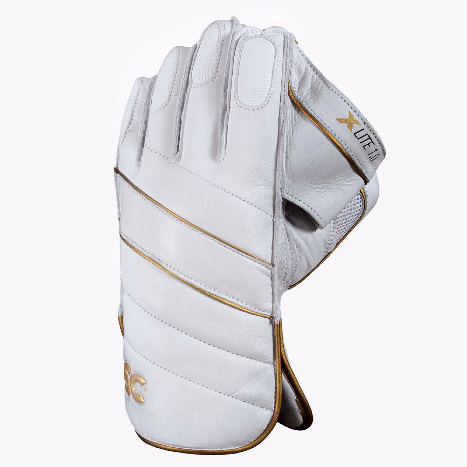 DSC Xlite 1.0 Wicket Keeping Gloves (2025) - DSC Xlite 1.0 Wicket Keeping Gloves (2025) - DSC Xlite 1.0 Wicket Keeping Gloves (2
