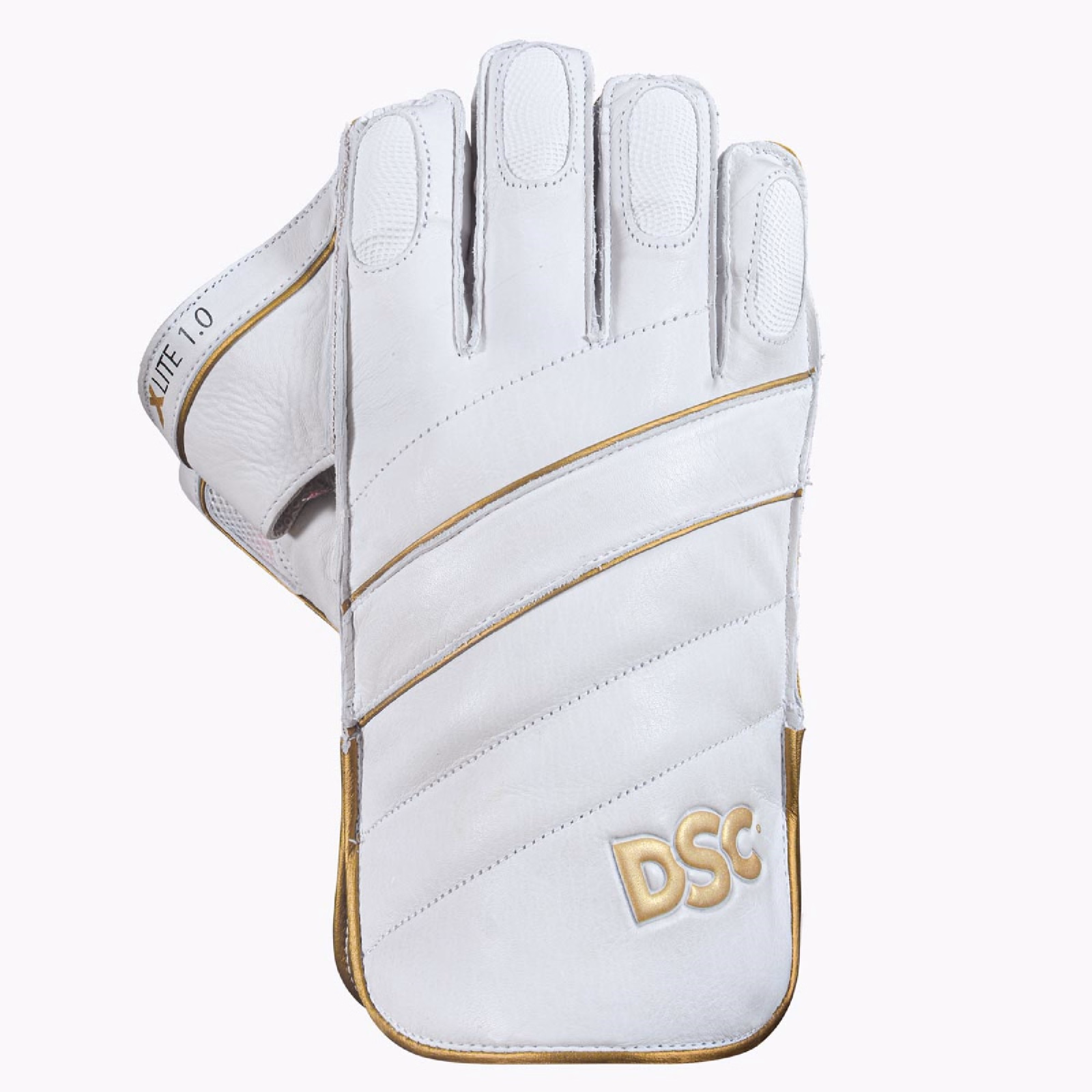 DSC Xlite 1.0 Wicket Keeping Gloves (2025) - DSC Xlite 1.0 Wicket Keeping Gloves (2025) - DSC Xlite 1.0 Wicket Keeping Gloves (2