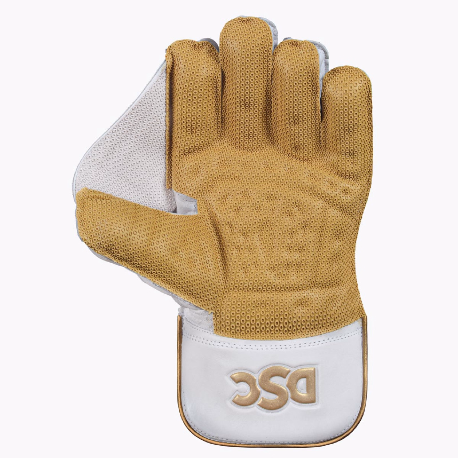 DSC Xlite 1.0 Wicket Keeping Gloves (2025) - DSC Xlite 1.0 Wicket Keeping Gloves (2025) - DSC Xlite 1.0 Wicket Keeping Gloves (2