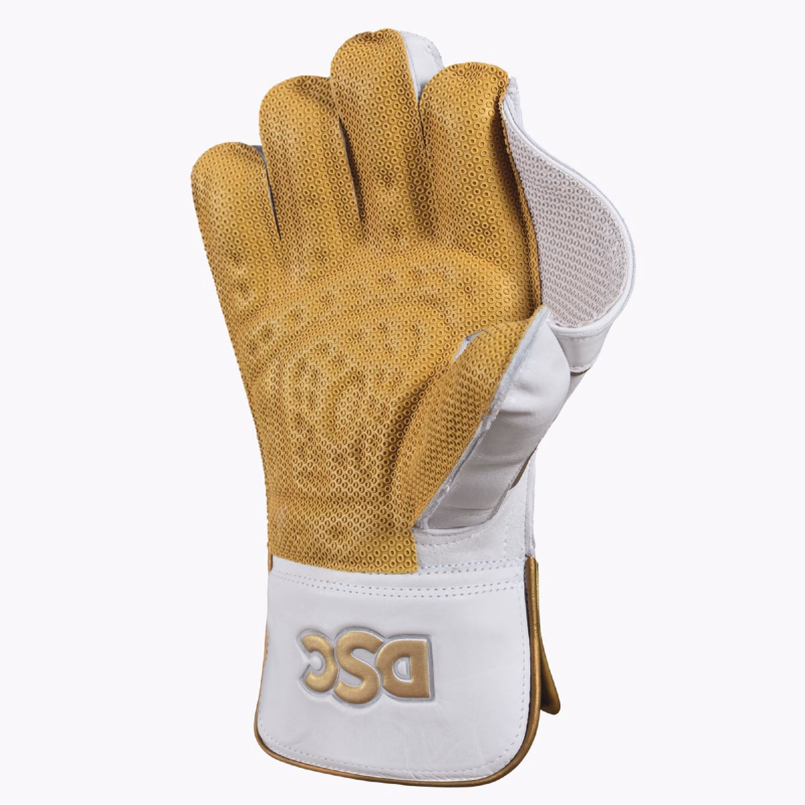 DSC Xlite 1.0 Wicket Keeping Gloves (2025) - DSC Xlite 1.0 Wicket Keeping Gloves (2025) - DSC Xlite 1.0 Wicket Keeping Gloves (2