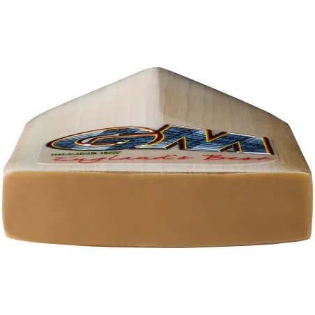 GM Rival 404 Cricket Bat (2026)