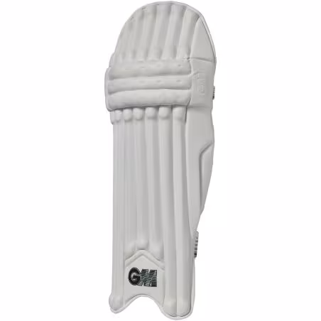 GM 808 Cricket Pads (2026)