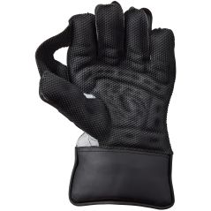 GM Rival 909 Wicket Keeping Gloves (2026) - Wicket Keeping