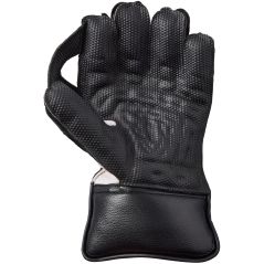 GM Rival Wicket Keeping Gloves (2026) - Wicket Keeping Gloves