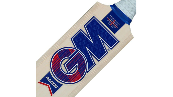 Best Cricket Bat for a Beginner Under £100 (UK Guide)